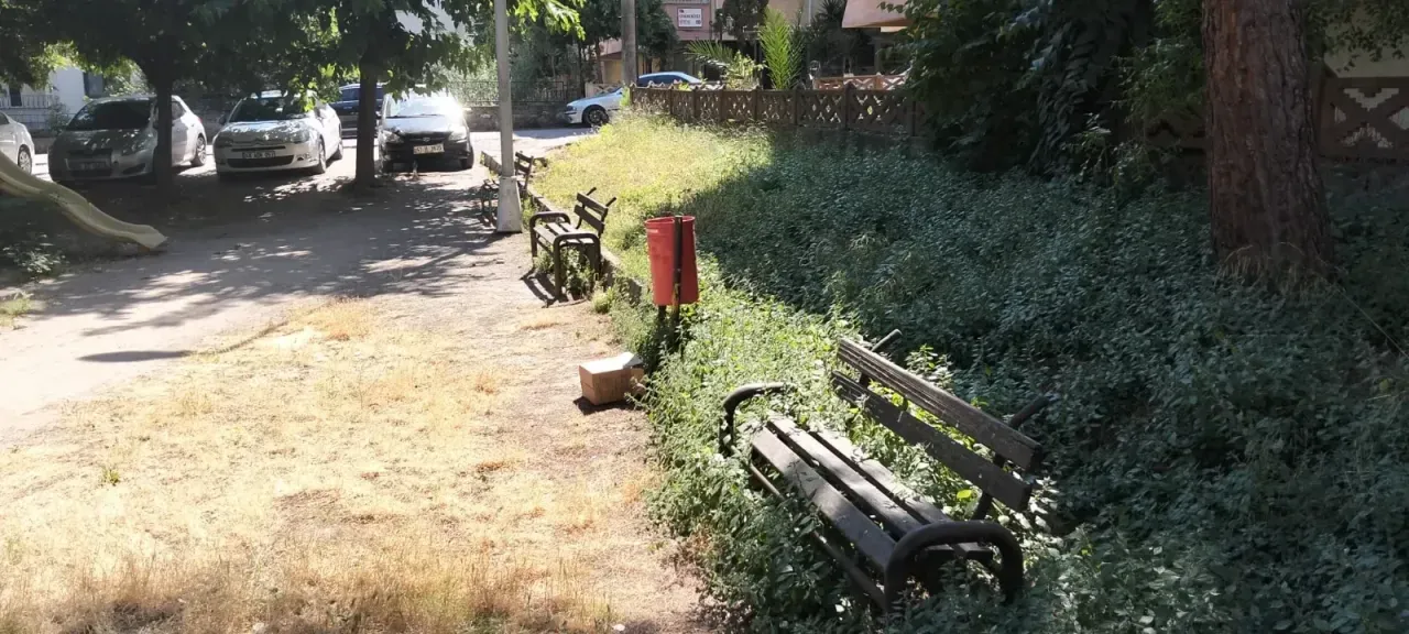 KADERİNE TERK EDİLDİ!