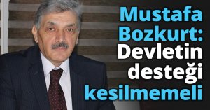 Mustafa Bozkurt: Devletin desteği kesilmemeli