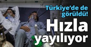 Türkiye’de de görüldü! Hızla yayılıyor