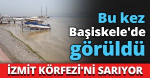 Bu kez Başiskele'de görüldü