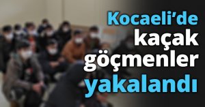 Kocaeli’de kaçak göçmenler yakalandı