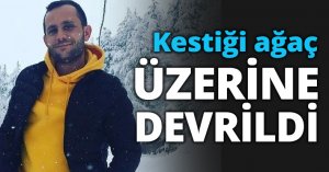 Kestiği ağaç ÜZERİNE DEVRİLDİ