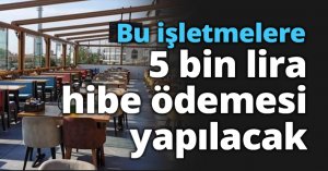 Bu işletmeler 5 bin hibe ödemesi alacak!
