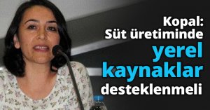 Kopal: Süt üretiminde yerel kaynaklar desteklenmeli