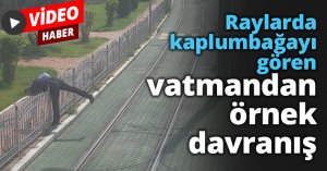 Raylarda kaplumbağayı gören vatmandan örnek davranış