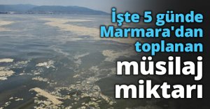 İşte 5 günde Marmara'dan toplanan müsilaj miktarı
