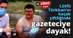 Lütfü Türkkan’ın kaçak çiftliğinde gazeteciye dayak!