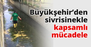 Büyükşehir’den sivrisinekle kapsamlı mücadele