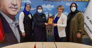 Ak Kadınlarda Anlamlı Plaket