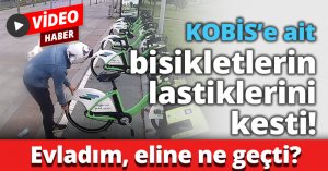 KOBİS’e ait bisikletlerin lastiklerini kesti!