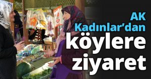 AK Kadınlar’dan köylere ziyaret