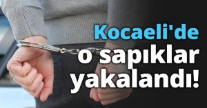 Kocaeli'de o sapıklar yakalandı