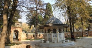 Yeni Cuma camiinde tehlike arz eden kurumuş 2 ağaç kaldırılacak   
