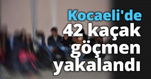 Kocaeli'de 42 kaçak göçmen yakalandı