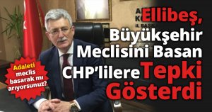 Ellibeş, Büyükşehir Meclisini Basan Chplilere Tepki Gösterdi