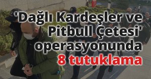 'Dağlı Kardeşler ve Pitbull Çetesi' operasyonunda 8 tutuklama