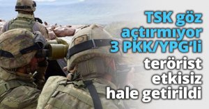 TSK göz açtırmıyor 3 PKK/YPG’li etkisiz hale getirildi