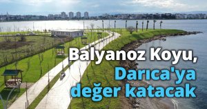 Balyanoz Koyu, Darıca'ya değer katacak