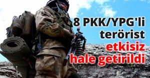 8 PKK/YPG'li terörist etkisiz hale getirildi