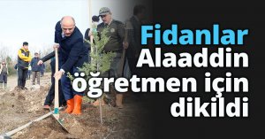 Fidanlar Alaaddin öğretmen için dikildi
