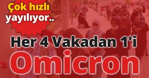 Her 4 Vakadan 1'i Omicron