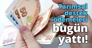  Tarımsal destek ödemeleri bugün yattı!