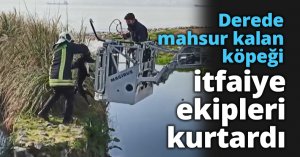 Derede mahsur kalan köpeği itfaiye ekipleri kurtardı