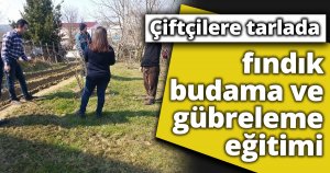 Çiftçilere tarlada fındık budama ve gübreleme eğitimi