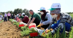 Büyükşehir’den Kocaeli’ye insan odaklı hizmet