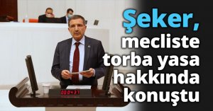 Şeker, mecliste torba yasa hakkında konuştu  