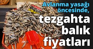 Avlanma yasağı öncesinde, tezgahta balık fiyatları