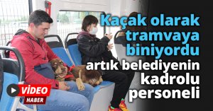 Kaçak olarak tramvaya biniyordu, artık belediyenin kadrolu personeli