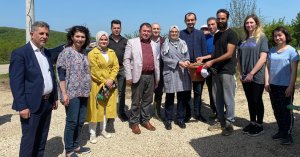 Katırcıoğu ve Güney Aronya ekti