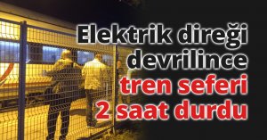 Elektrik direği devrilince tren seferi 2 saat durdu