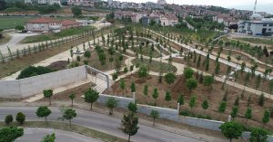 Enkaz döküm sahası yemyeşil alana dönüştü