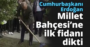 Cumhurbaşkanı Erdoğan Millet Bahçesi’ne ilk fidanı dikti
