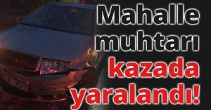Mahalle muhtarı kazada yaralandı!
