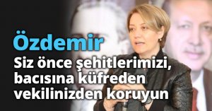 Özdemir: “Siz önce şehitlerimizi,  bacısına küfreden vekilinizden koruyun”