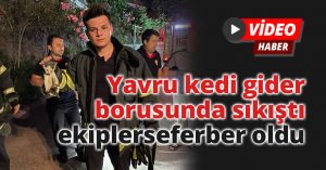 Yavru kedi gider borusunda sıkıştı, ekipler seferber oldu