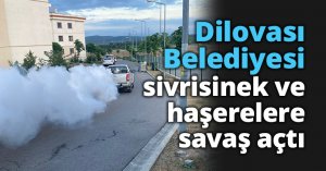 Dilovası Belediyesi, sivrisinek ve haşerelere savaş açtı 