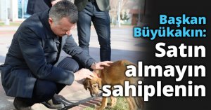 Başkan Büyükakın: Satın almayın sahiplenin
