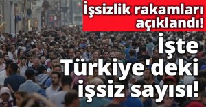 İşsizlik rakamları açıklandı!