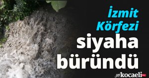 İzmit Körfezi siyaha büründü
