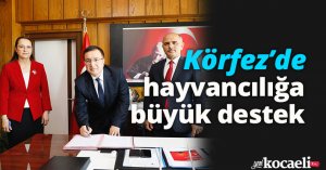 Körfez’de hayvancılığa büyük destek
