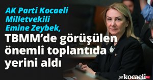 Zeybek, TBMM’de görüşülen önemli toplantıda yerini aldı