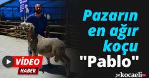 Pazarın en ağır koçu: 