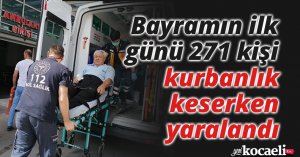 Kocaeli’de bayramın ilk günü 271 kişi kurbanlık keserken yaralandı