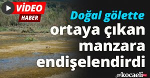 Doğal gölette ortaya çıkan manzara endişelendirdi