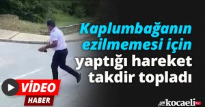 Kaplumbağanın ezilmemesi için yaptığı hareket takdir topladı