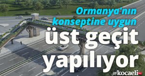 Ormanya'nın konseptine uygun üst geçit yapılıyor